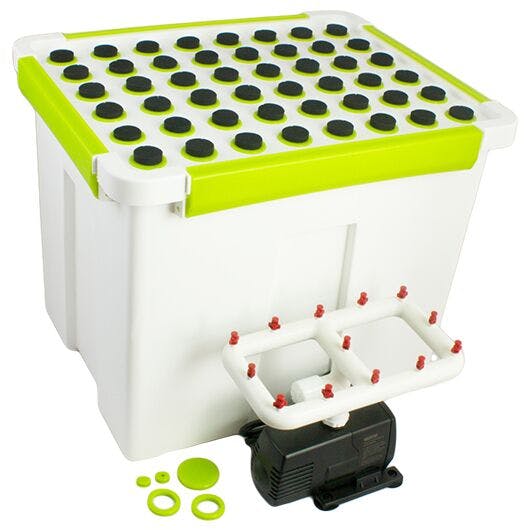 Golden Grow Power Cloner