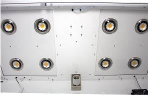 LED Producer